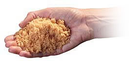 Hand Holding Host Absorbent Particles