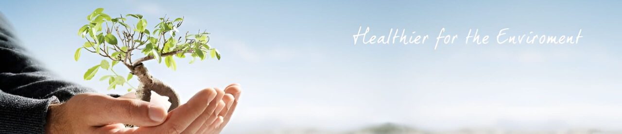 Person holding a small green plant against a serene outdoor background.